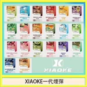 XIAOke一代